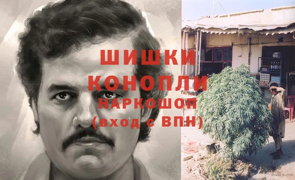 гидра Аркадак