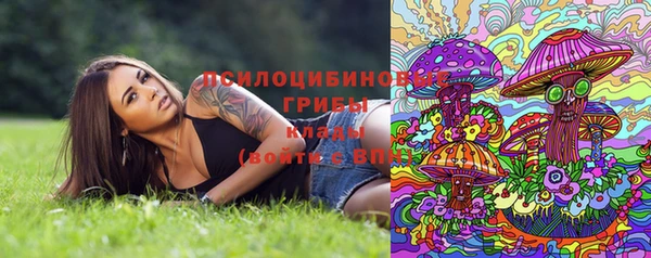 дурь Балабаново