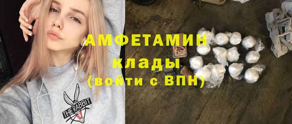 гидра Аркадак