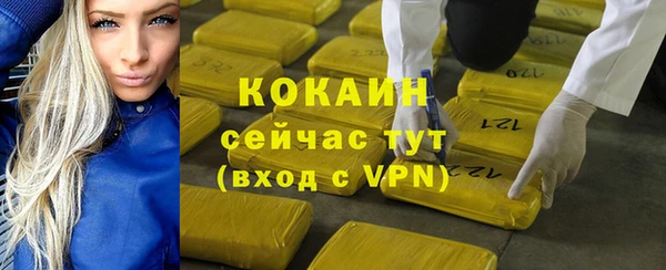 гидра Аркадак